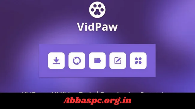 VidPaw Convert Any Video