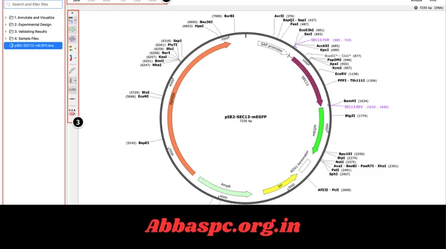 SnapGene